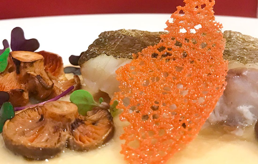 Tursoria jornadas micologicas