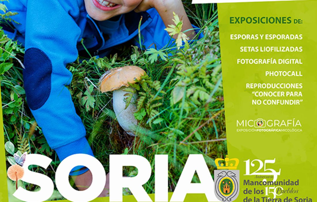 De setas por Soria. Tursoria