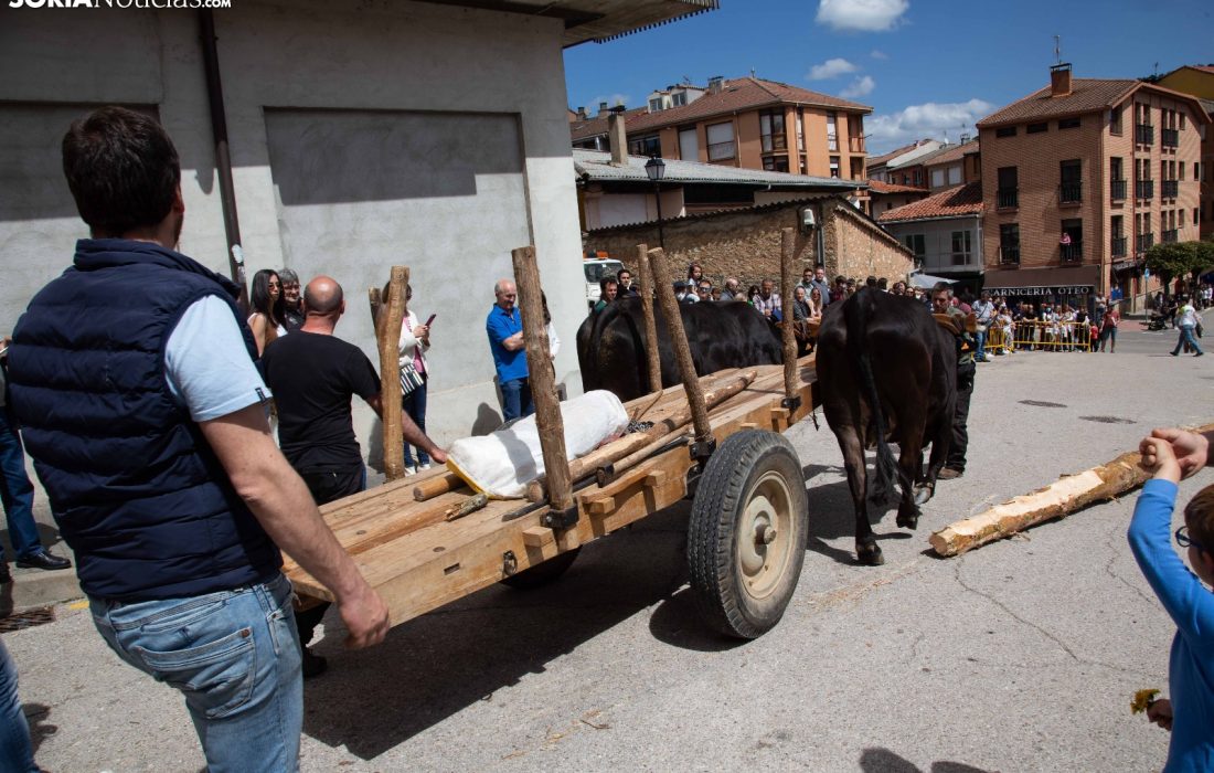 tursoria la pingada del mayo en San leonardo