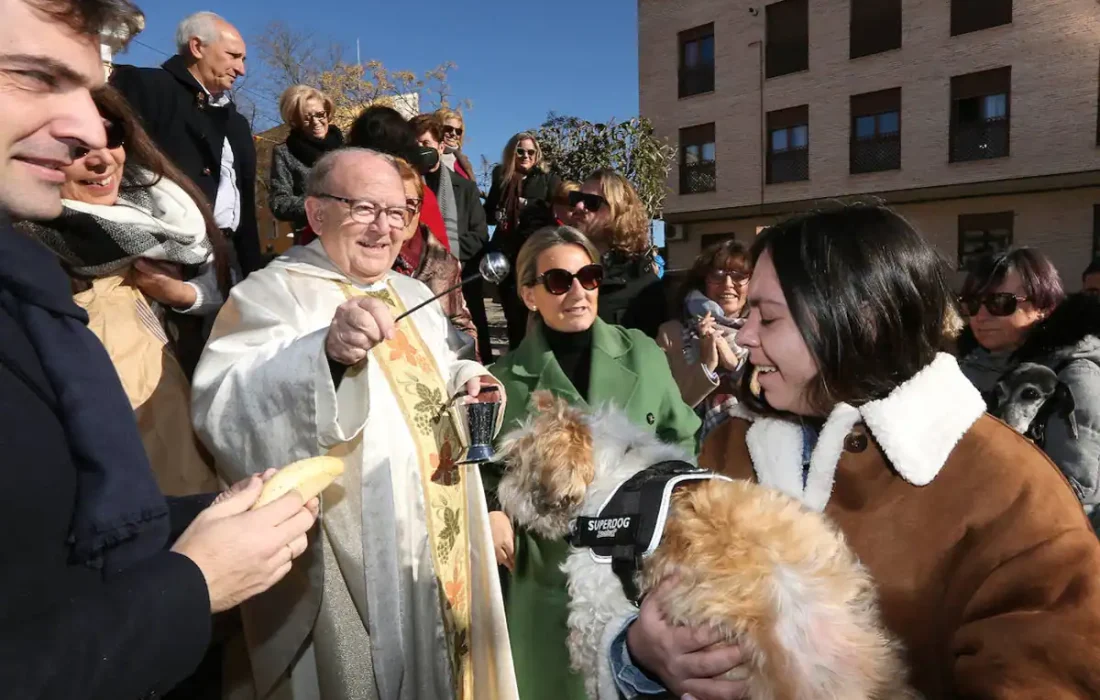 Bendicion de los animales en San Anton. Tursoria