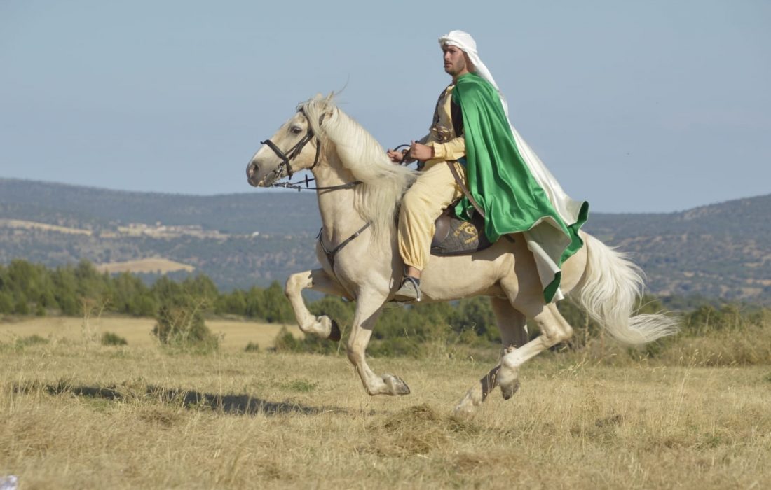 tursoria la soldadesca