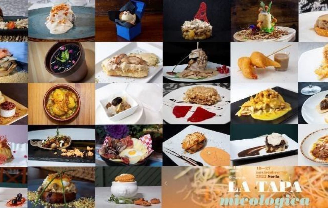 Tursoria. Jornada buscasetas