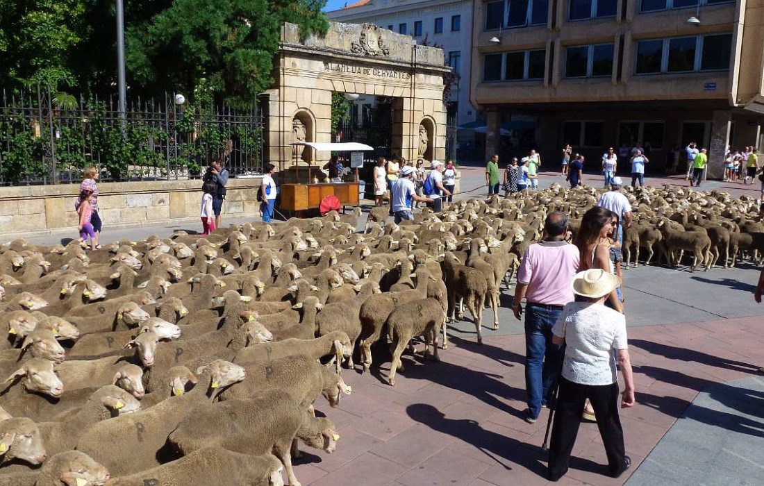 YWK2RFGDBFGLLO5GB3DXZF6DYQ