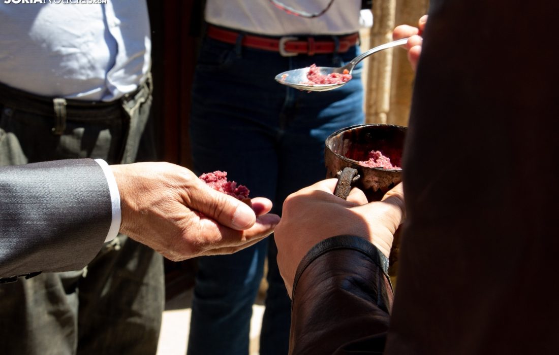 Tursoria la soparra de Almazan