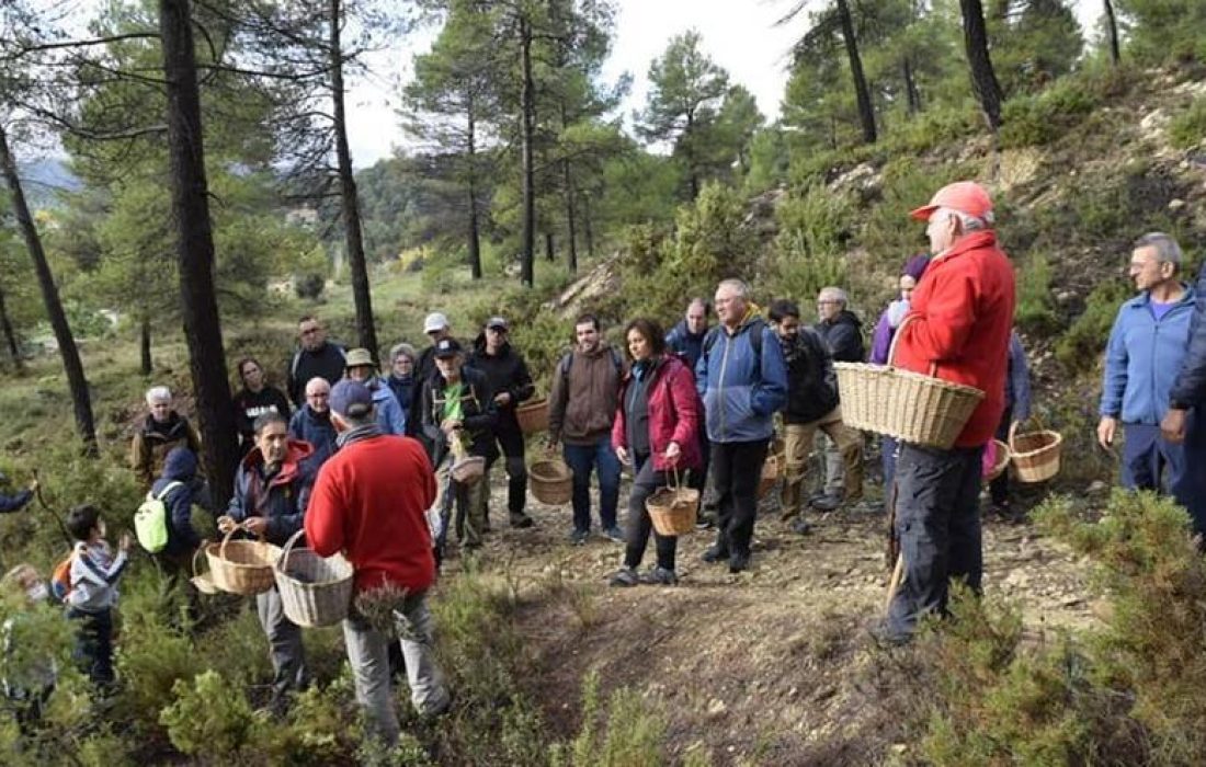 Taller de reposteria micologica en El Royo. Tursoria