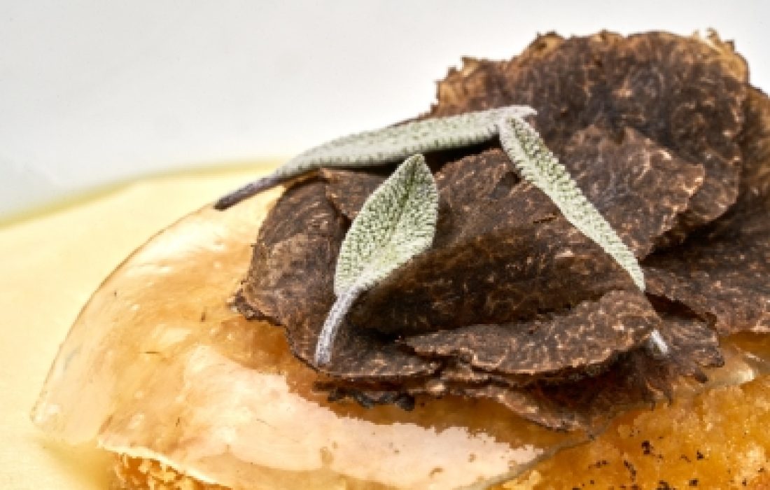 tursoria concurso nacional la trufa de abejar