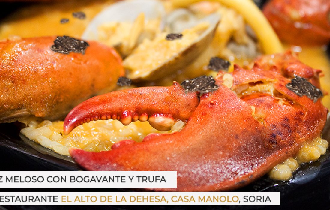 ruta dorada de la trufa. Tursoria