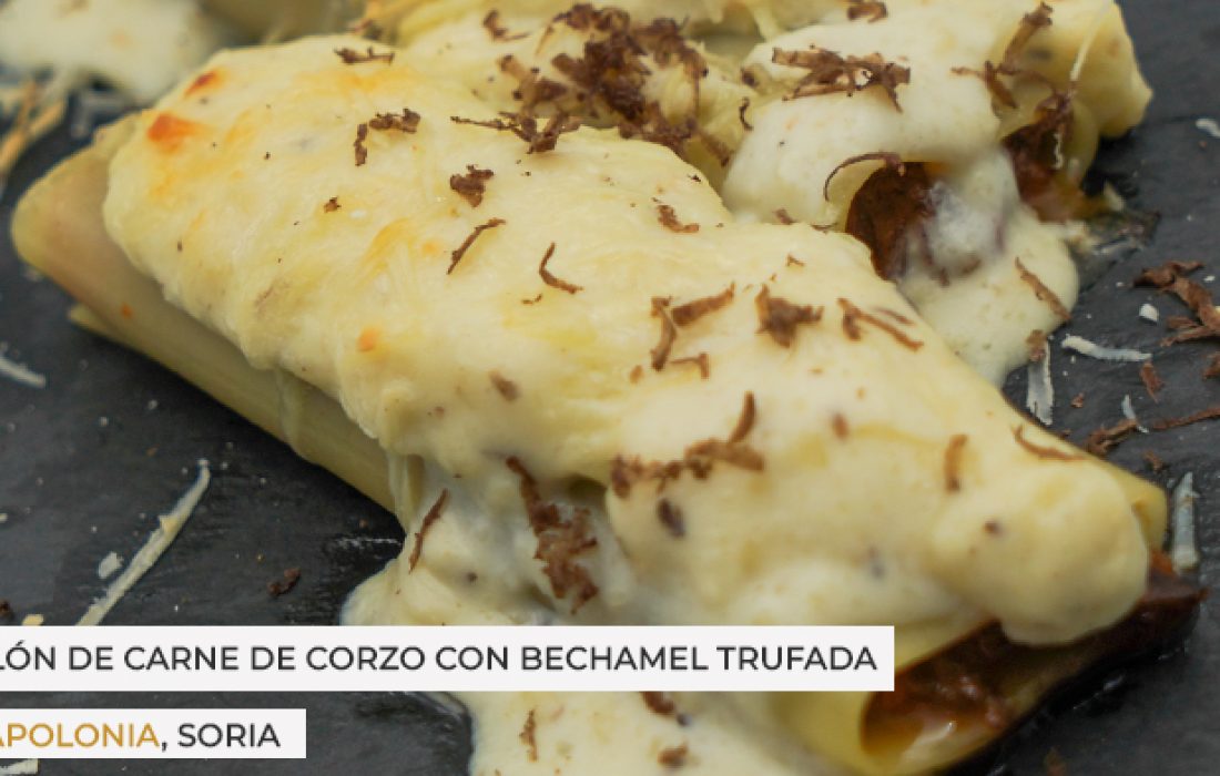 ruta dorada de la trufa. Tursoria