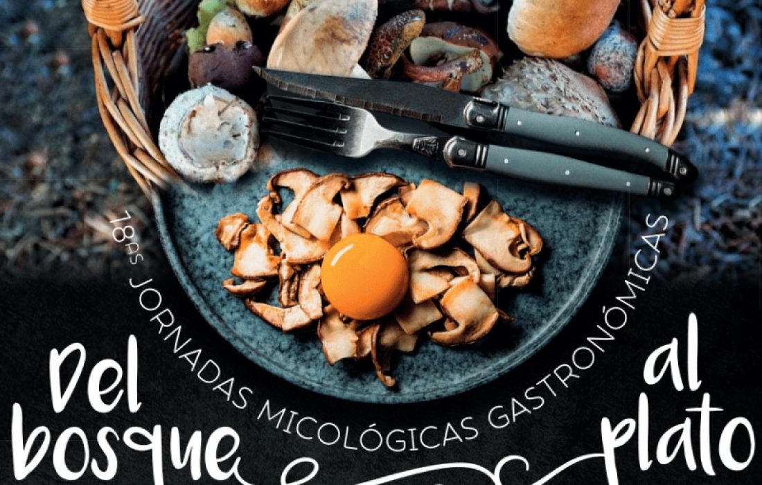 tursoria jornadas micologicas del bosque al plato