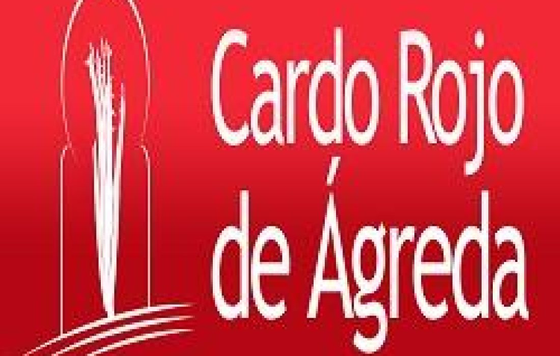 Jornadas del cardo en Agreda. Tursoria