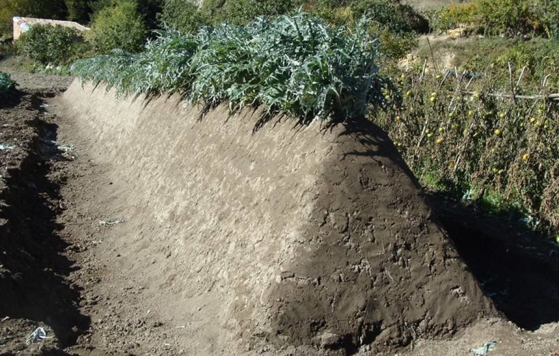 Tursoria Cardo Agreda