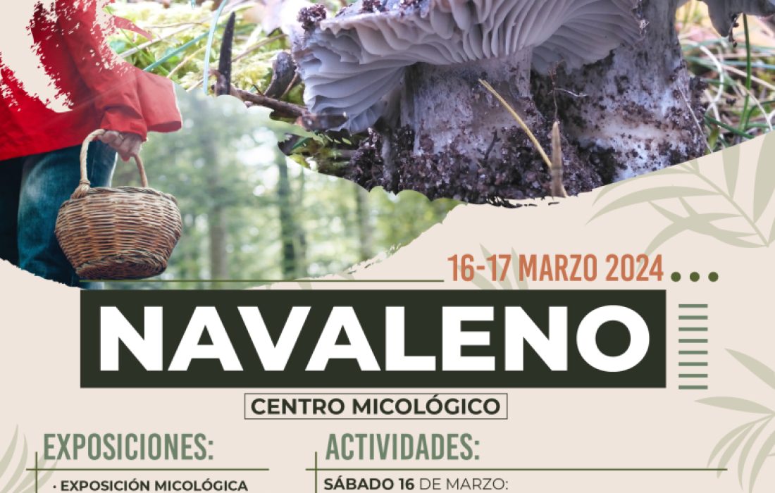 Tursoria jornada del marzuelo