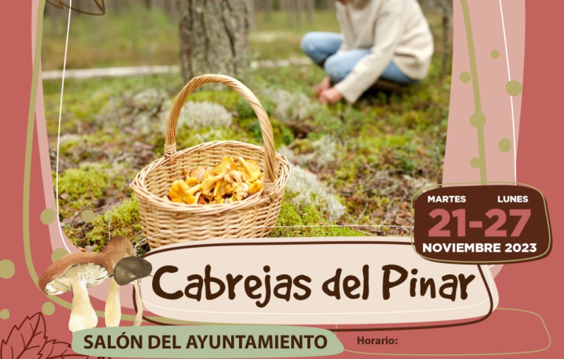 De setas por Soria en Cabrejas del Pinar. Tursoria