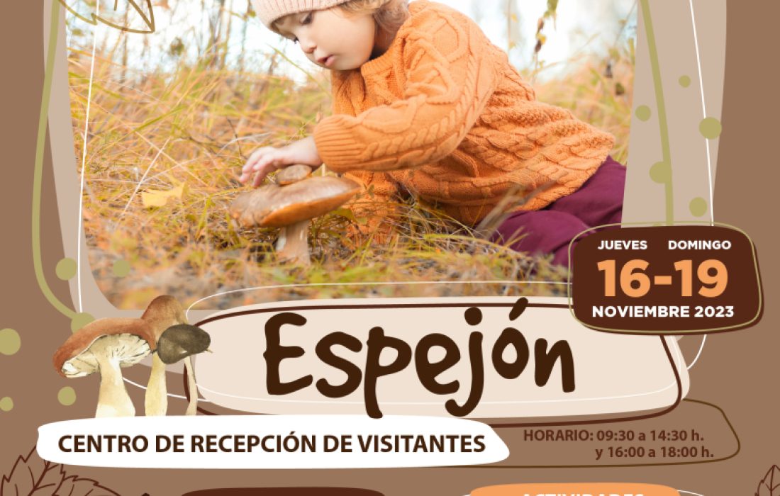 Pasteleria micologica en Espejon. Tursoria