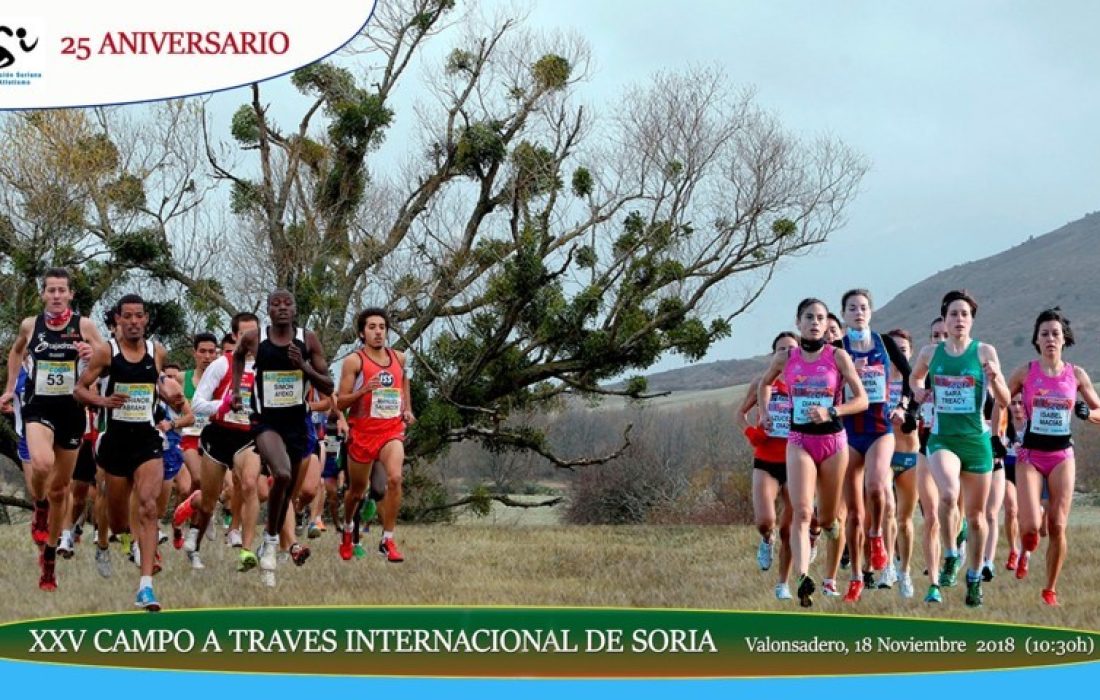 Campo a traves internacional Soria. Tursoria