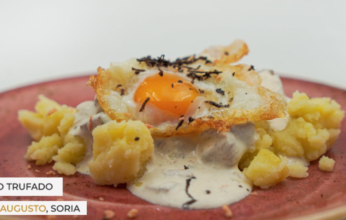 ruta dorada de la trufa. Tursoria