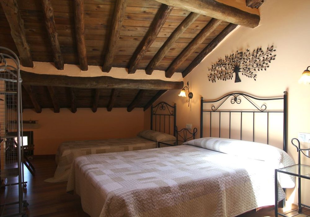 Tursoria casa rural valle del Duero