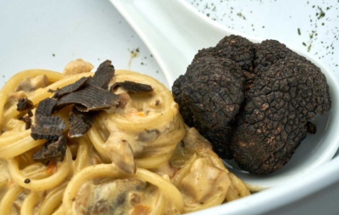 tursoria concurso nacional la trufa de abejar