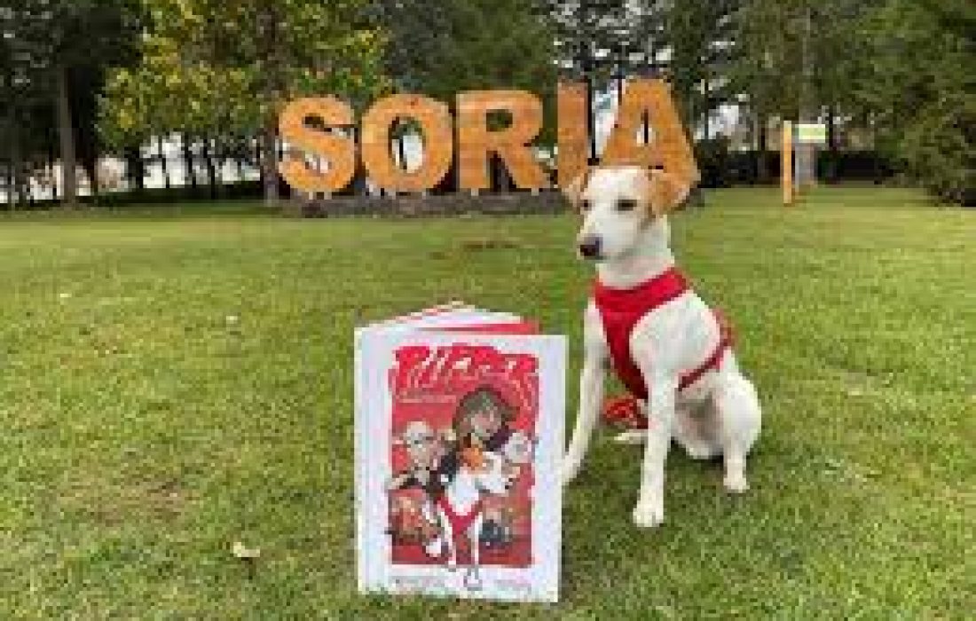 Tursoria feria de mascotas