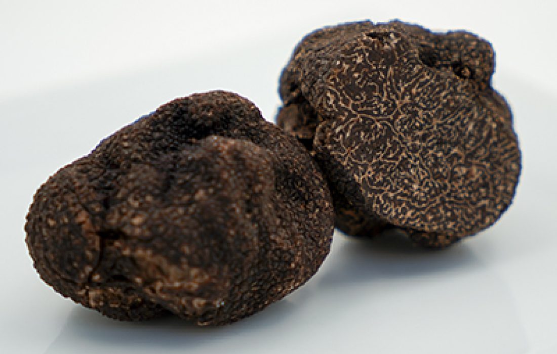 ruta dorada de la trufa. Tursoria