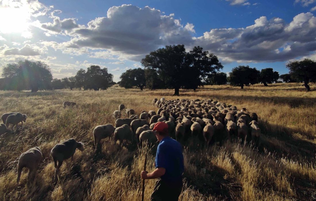 e3bf9fa67d1f42aeadb7b930e7d48a31del_fb_de_TA_1