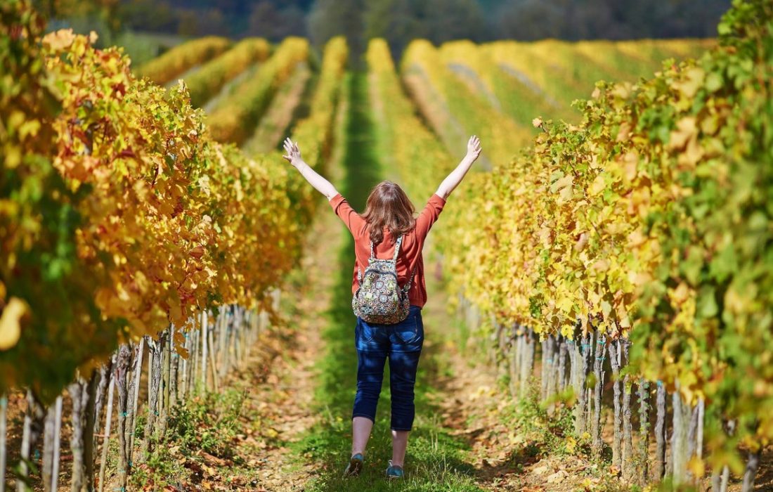 Tursoria Encuentro de viñas viejas