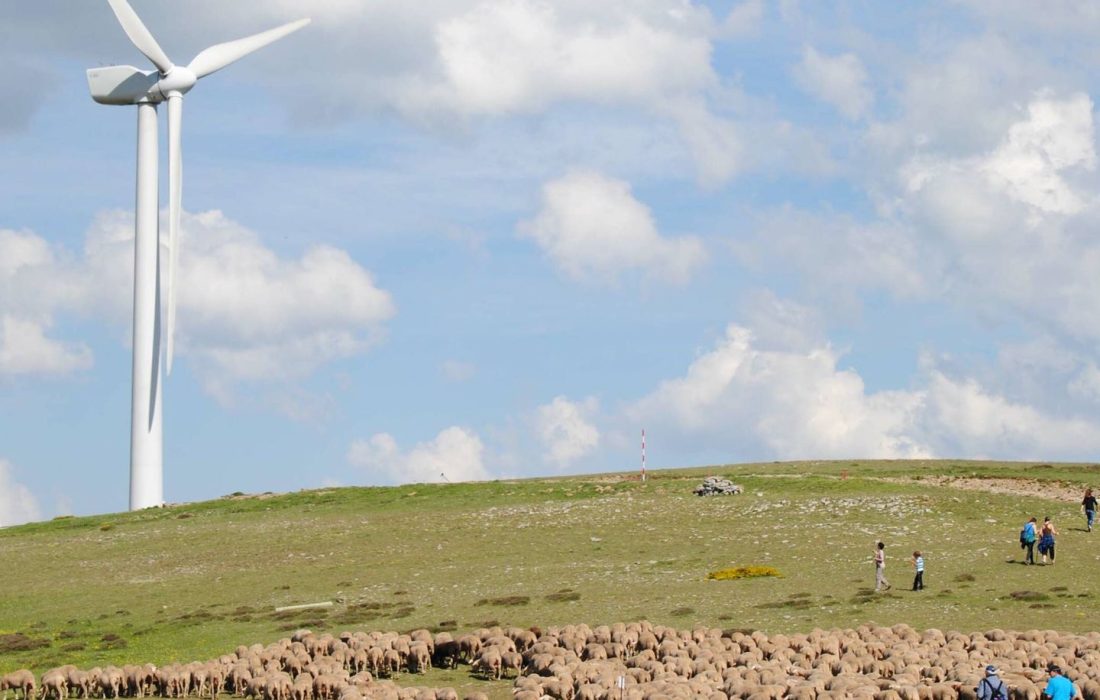 f.elconfidencial.com_original_2aa_9e0_c4d_2aa9e0c4d27b05adc3d26f285adb9664