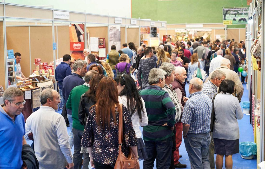 Tursoria feria de muestras almazan