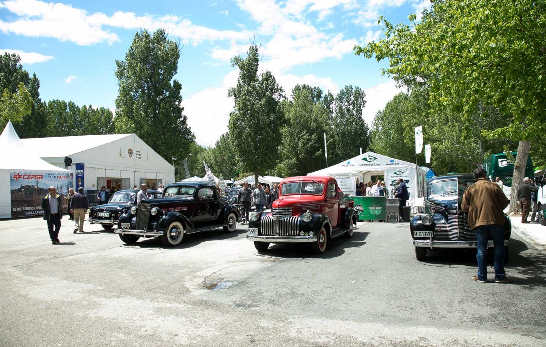 Tursoria feria de muestras almazan