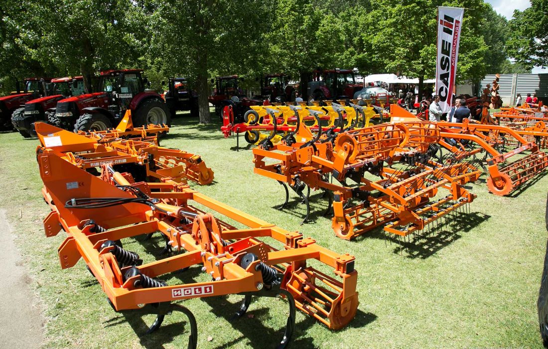 Tursoria feria de muestras almazan