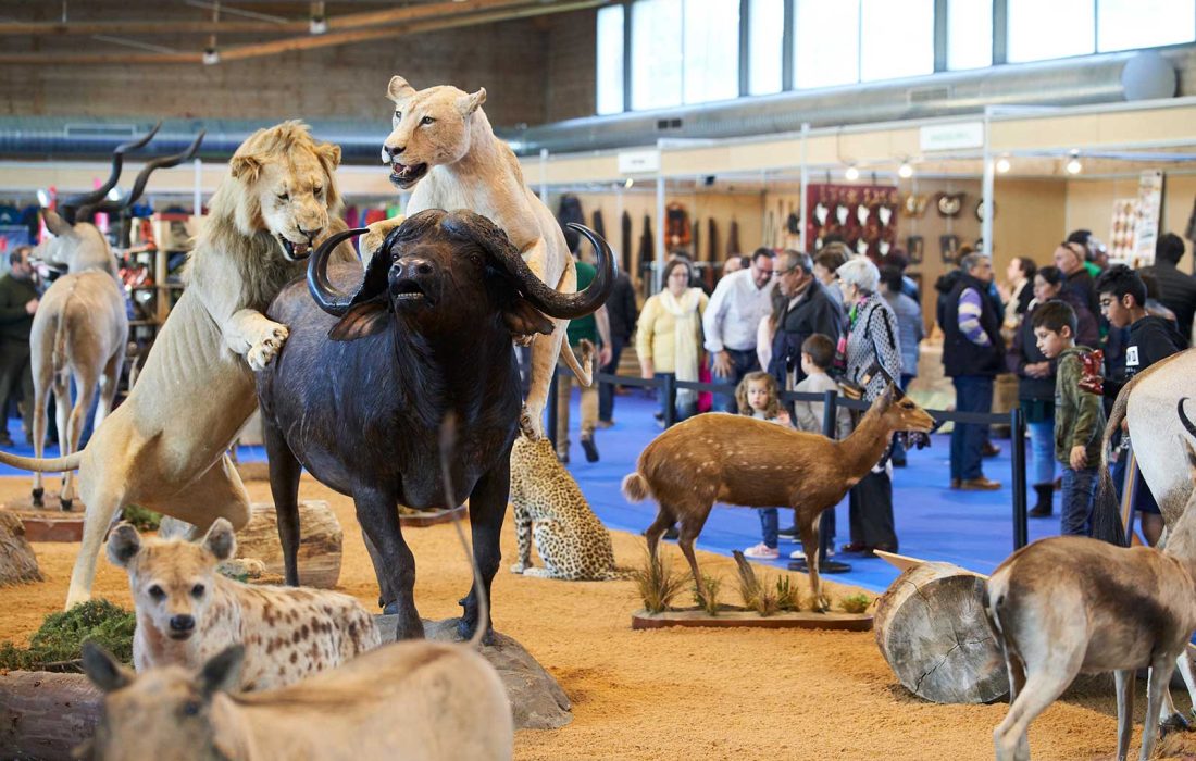 "Feria Venalmazán" en Almazán