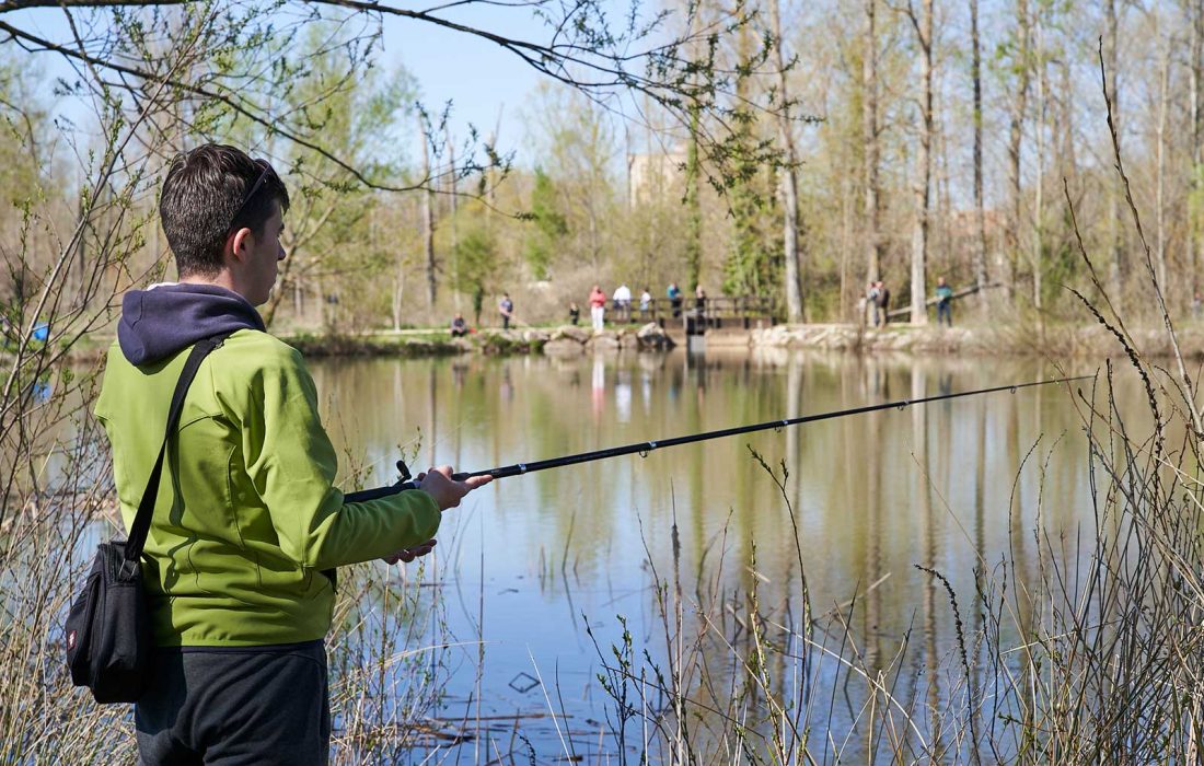 "Feria Venalmazán" en Almazán