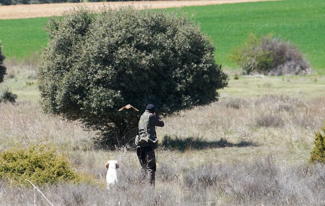 "Feria Venalmazán" en Almazán
