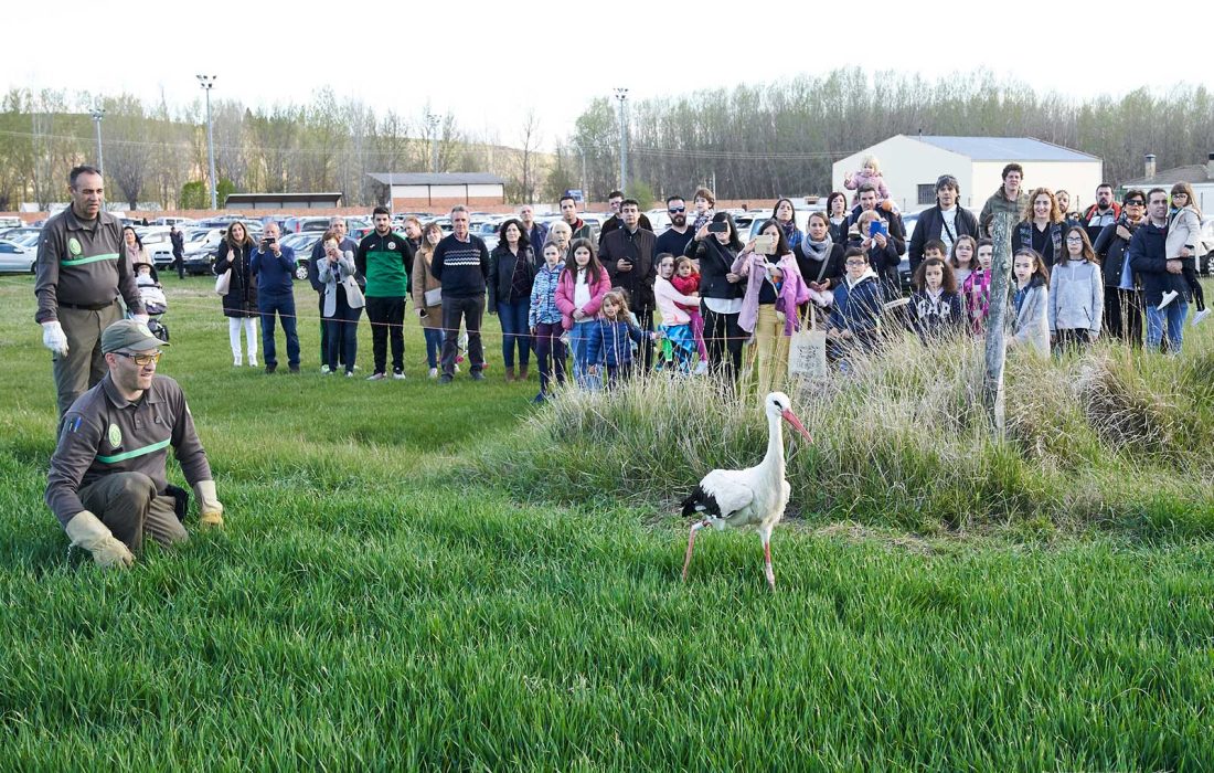 "Feria Venalmazán" en Almazán