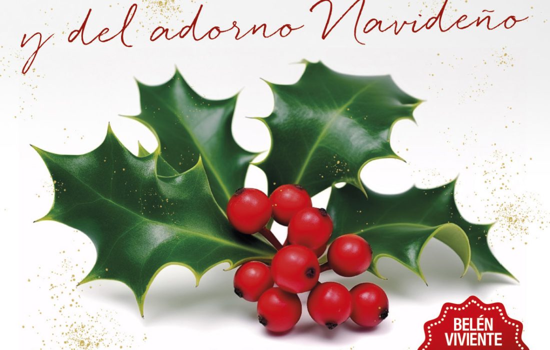 Tursoria-Fiesta del acebo en Oncala