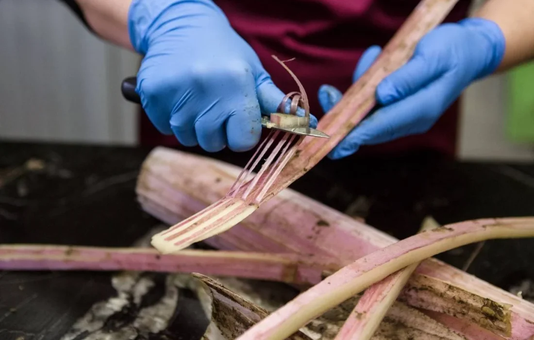 TURSORIA Jornada Cardo