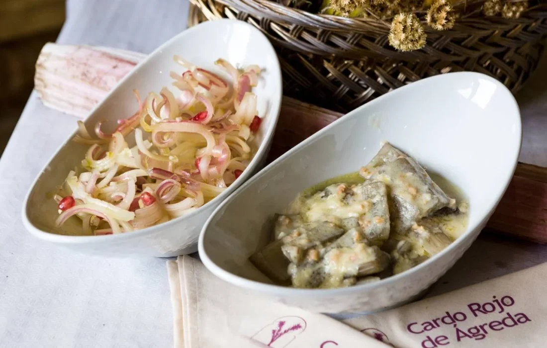 TURSORIA Jornada Cardo