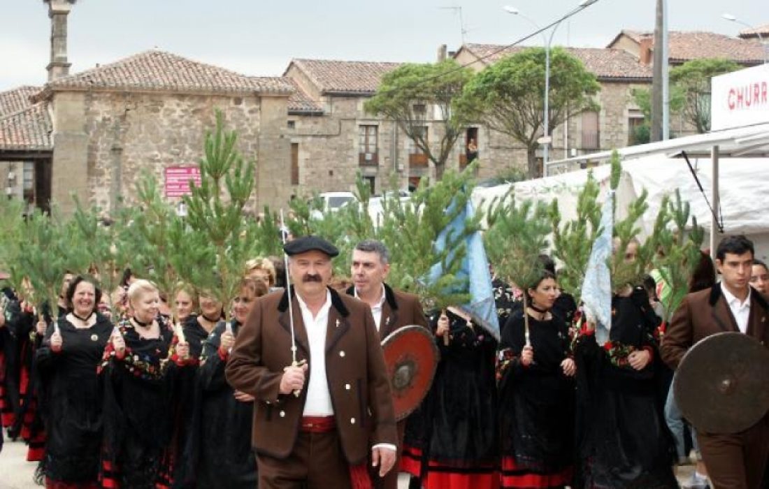 Tursoria nuestra señora de la virgen del pino y san roque