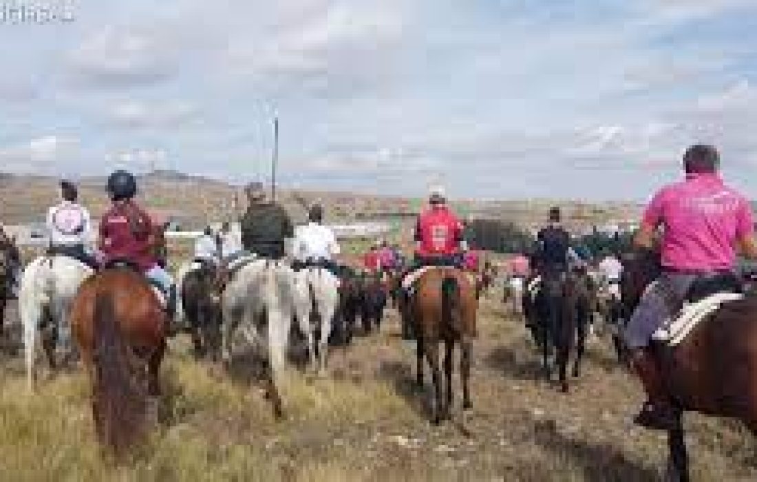 Tursoria trashumancia Agreda