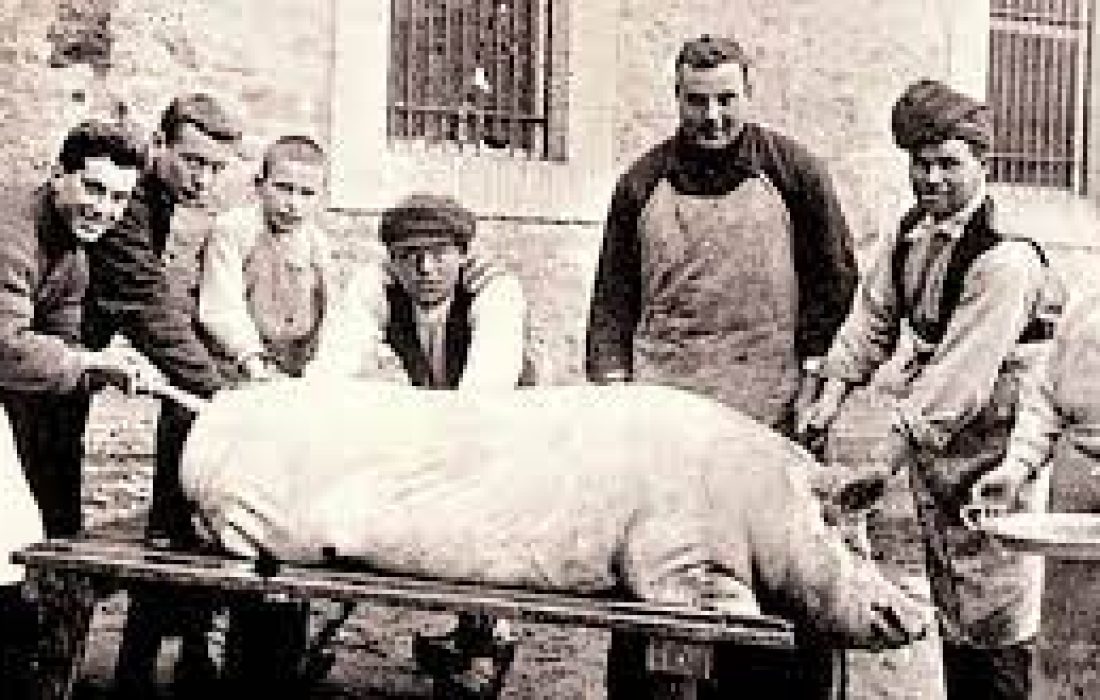 Tursoria jornada de la matanza