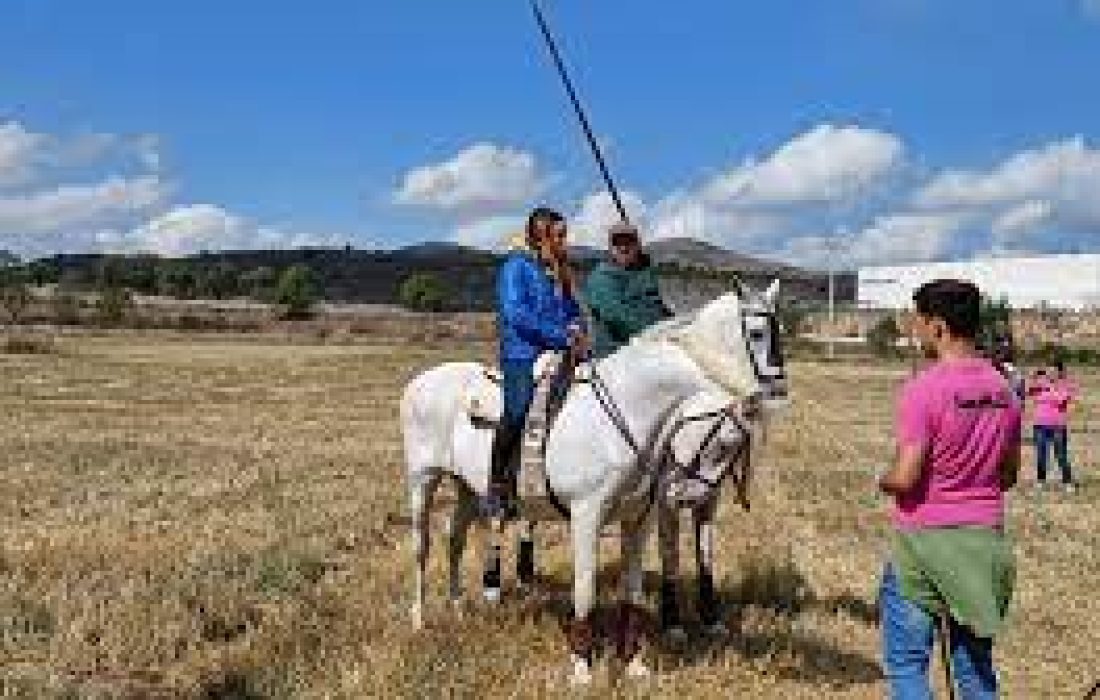 Tursoria trashumancia Agreda