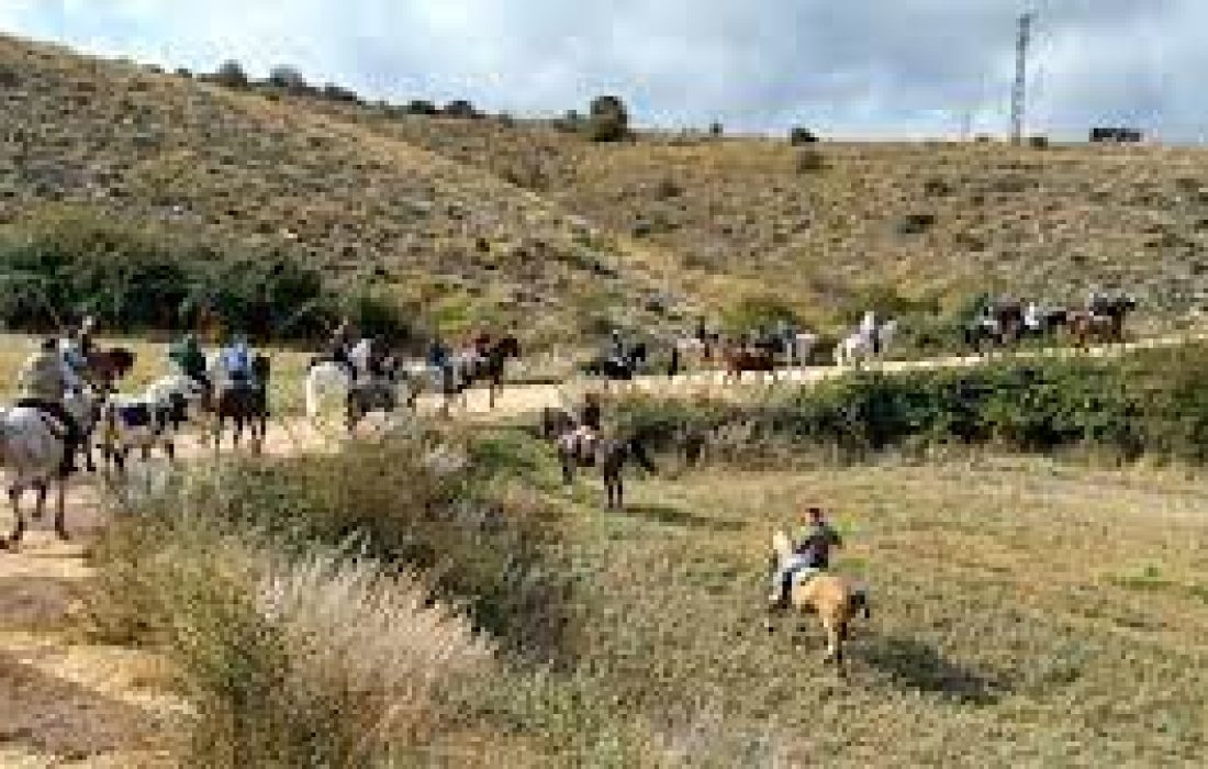 Tursoria trashumancia Agreda