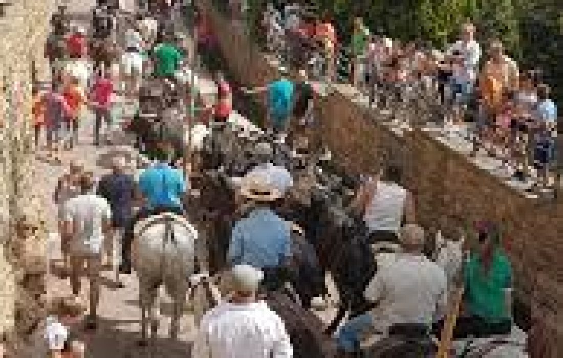 Tursoria trashumancia Agreda