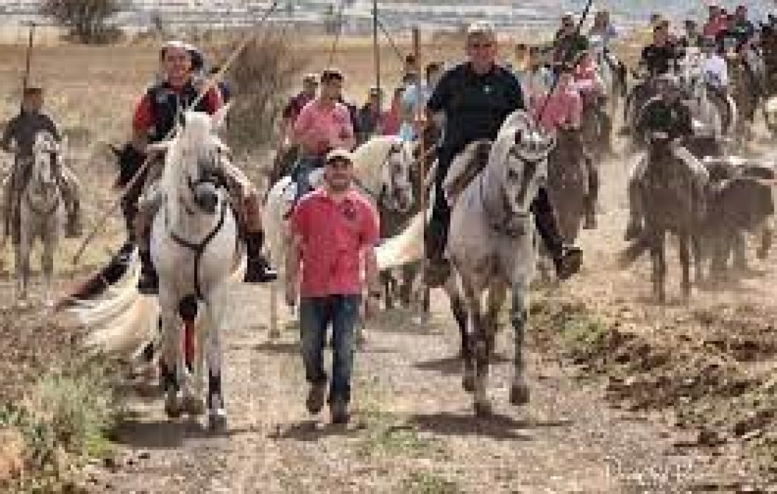 Tursoria trashumancia Agreda