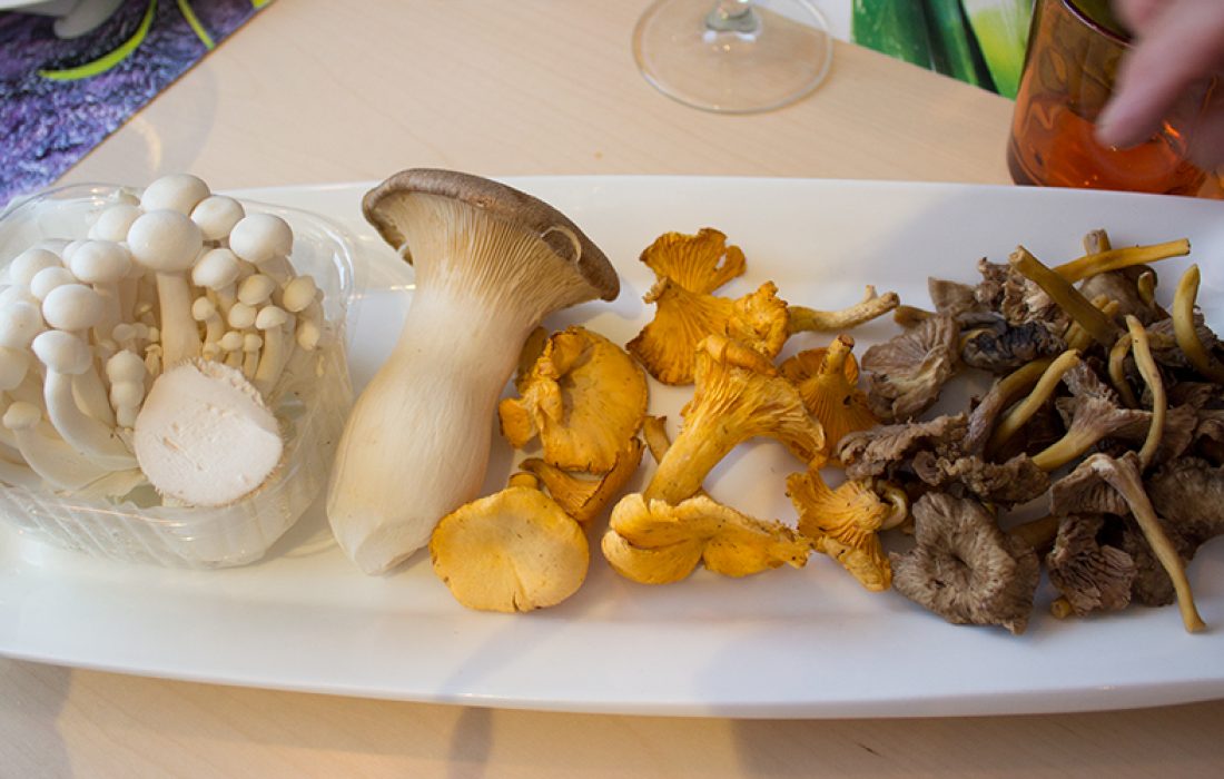 Taller cocina de micologia en Borobia. Tursoria