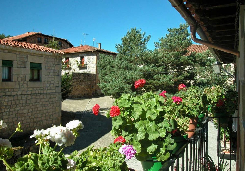 lg-495-19195493582074063688