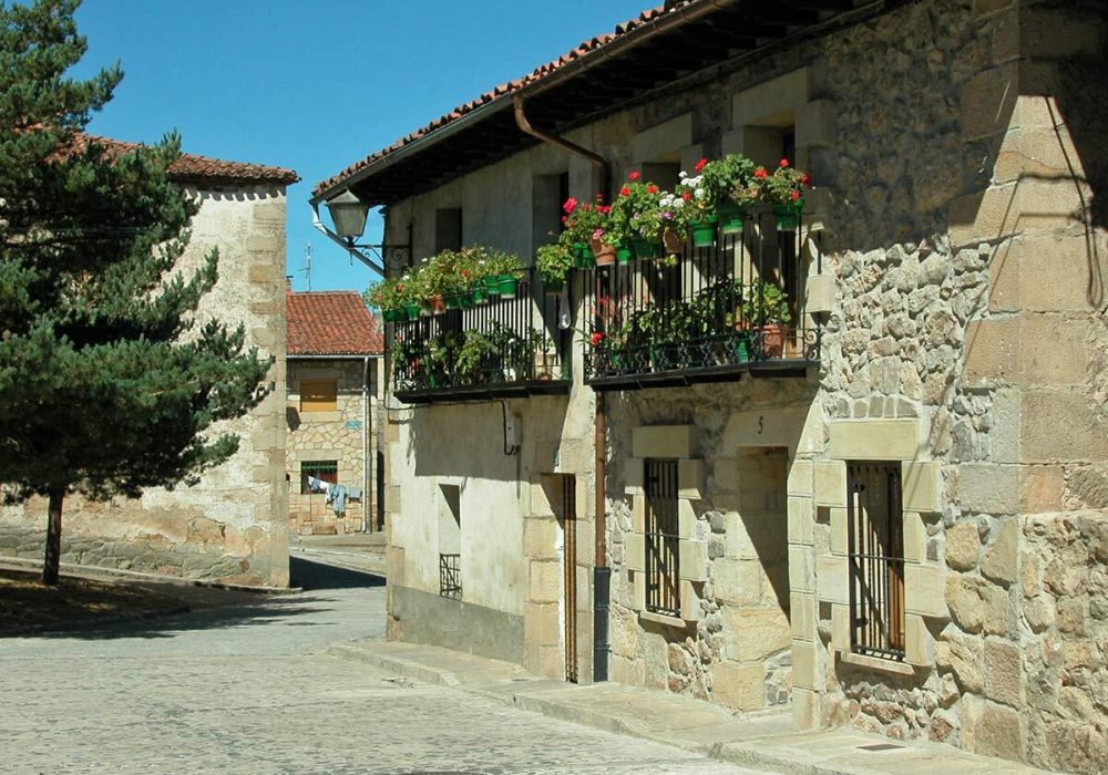 lg-495-866906628353245182