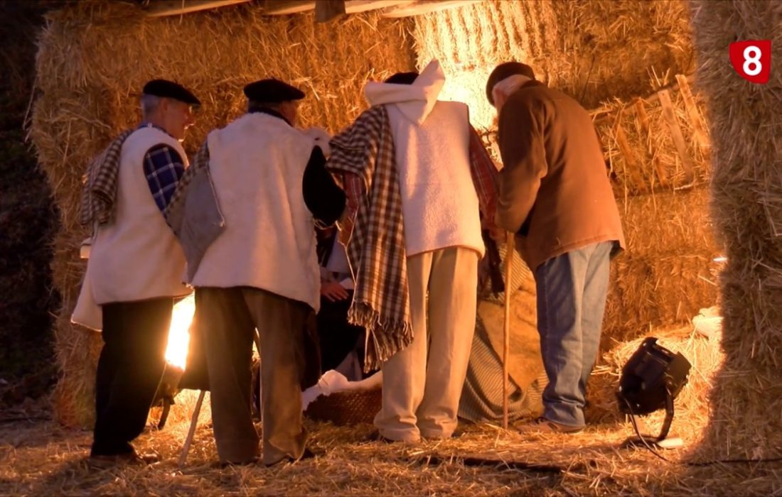 Tursoria acebo Oncala