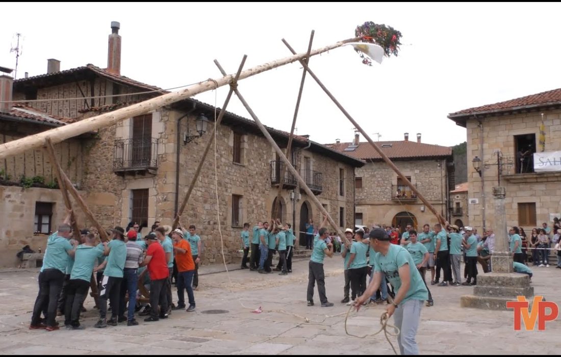 Pingada del mayo Salduero. Tursoria