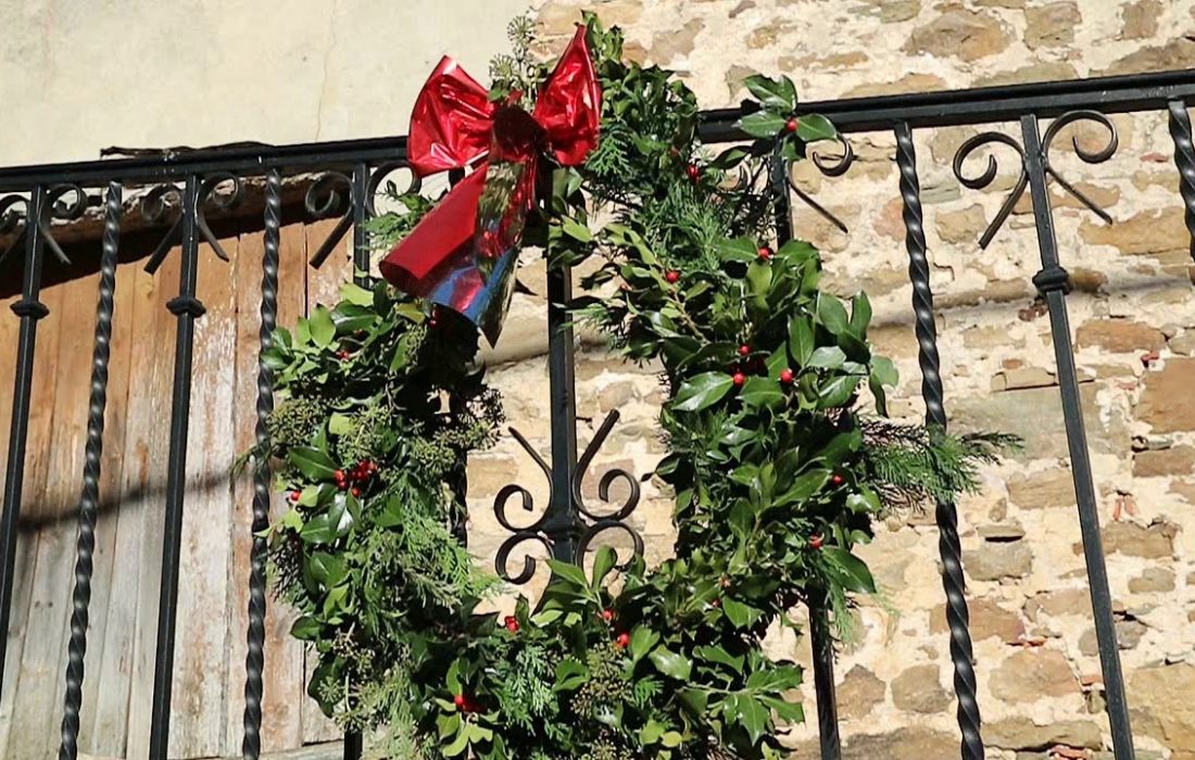 Tursoria acebo Oncala